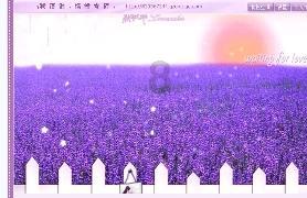 吃什么水果可以促排？