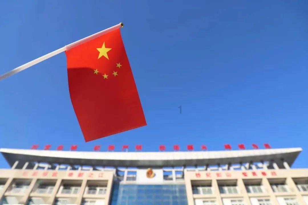 救援大嘴鸟